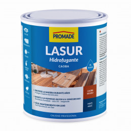 LASUR PROTECTOR AL AGUA...