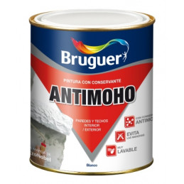 PINTURA PLASTICA ANTIMOHO...