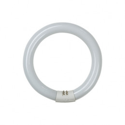 TUBO ILUMIN FLUORESC...