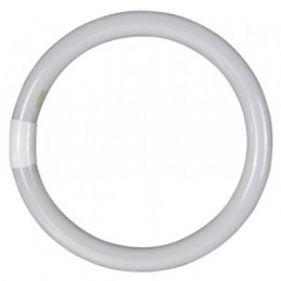 TUBO ILUMIN FLUORESC...